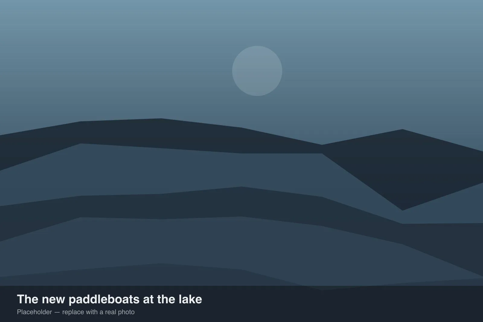 The new paddleboats at the lake.